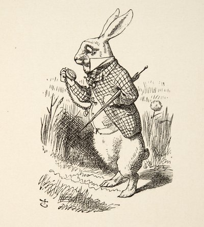 The White Rabbit、from Alices Adventures in Wonderland by Lewis Carroll（1832-98）、pub。 1891 作： John Tenniel